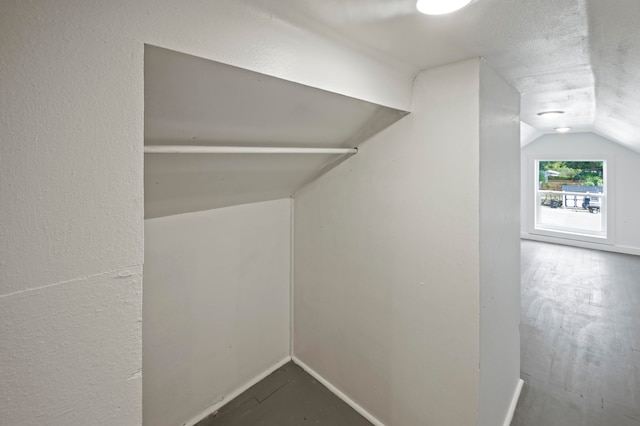 spacious closet with lofted ceiling and hardwood / wood-style flooring