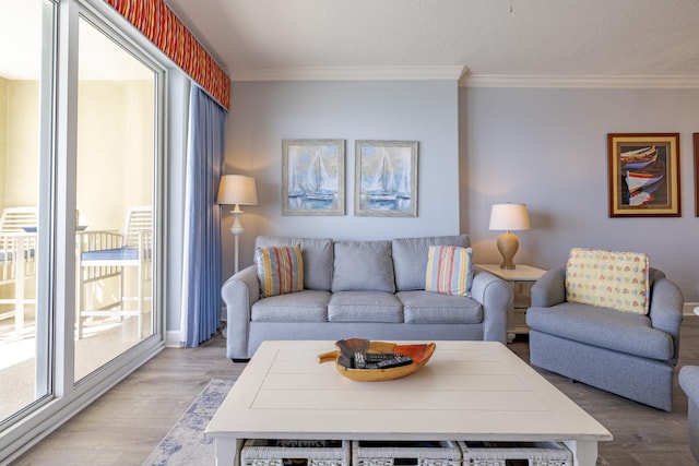 living room featuring ornamental molding, light hardwood / wood-style flooring, and a textured ceiling