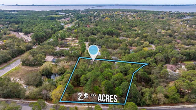 bird's eye view featuring a water view and a wooded view