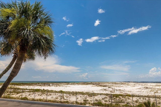 water view featuring a beach view