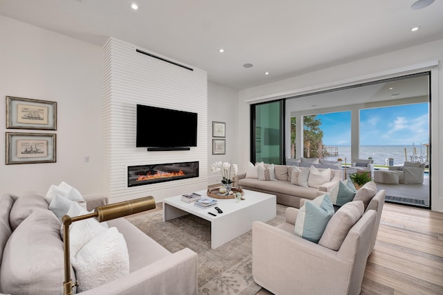 living room featuring a large fireplace and light hardwood / wood-style flooring