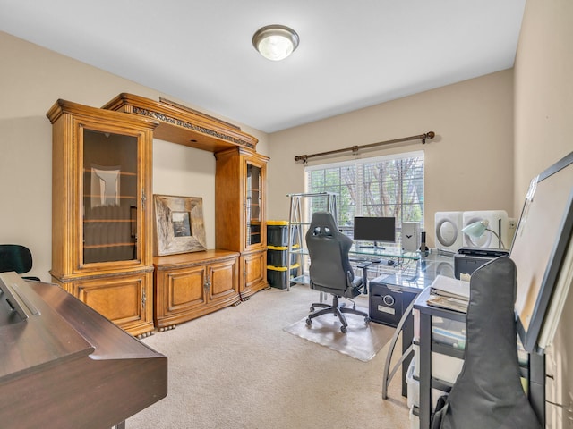 office featuring light colored carpet