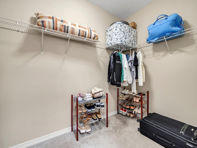 spacious closet featuring carpet