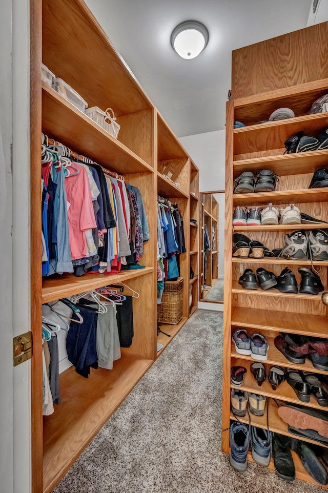 spacious closet with carpet floors