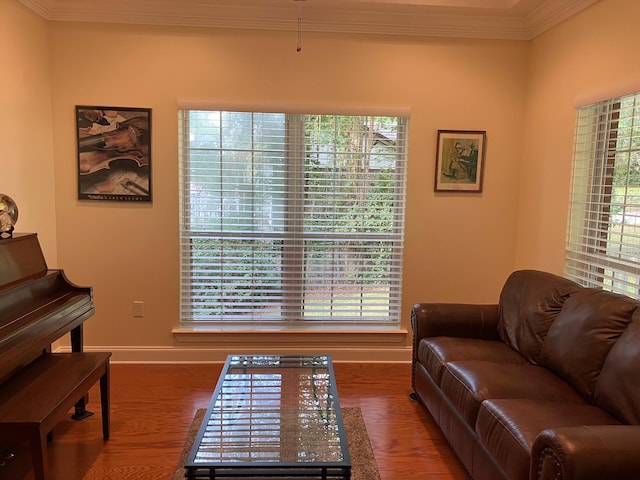 living room with wood-type flooring and plenty of natural light