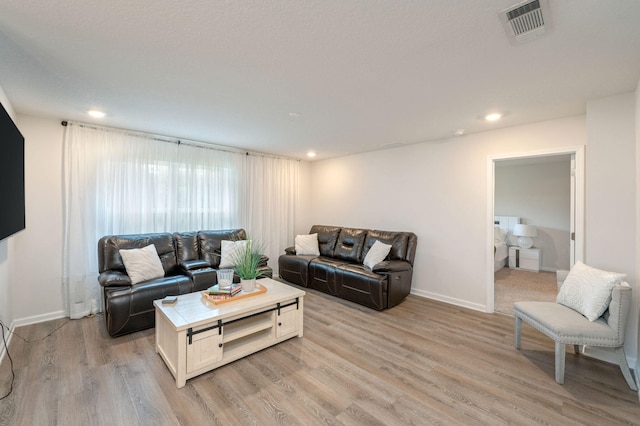 living room featuring light hardwood / wood-style flooring