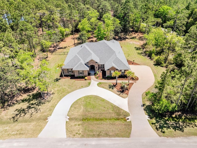 drone / aerial view