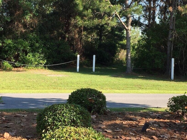 view of property's community featuring a lawn