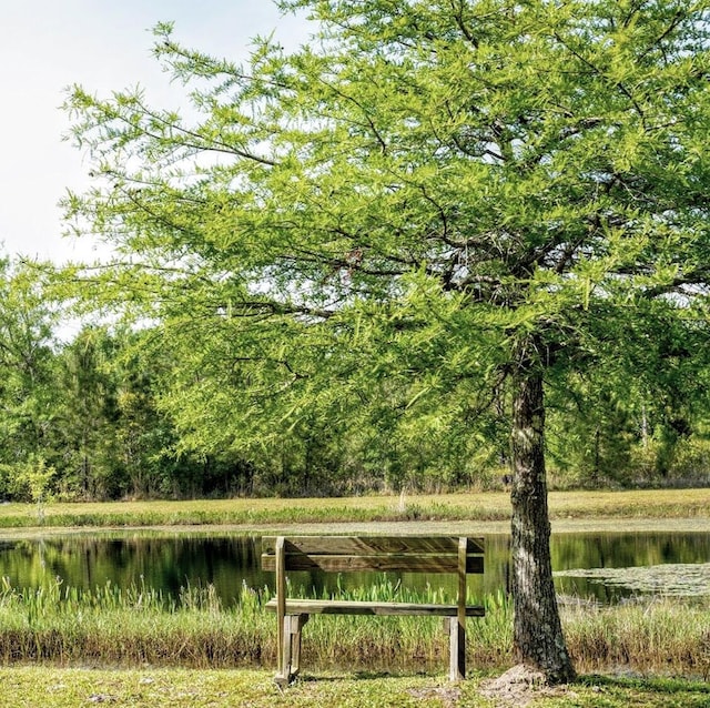 surrounding community with a water view