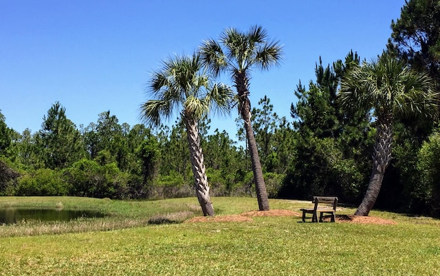 view of community featuring a lawn