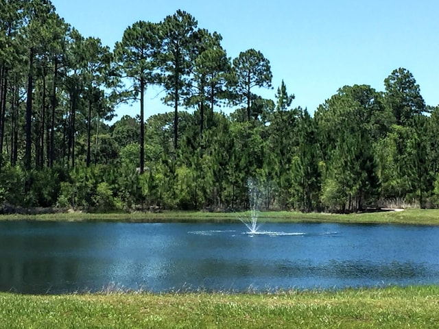 water view