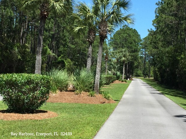view of property's community with a yard