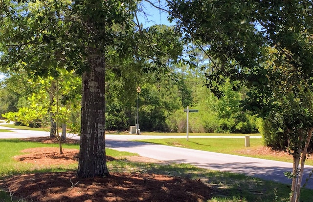 view of home's community featuring a yard