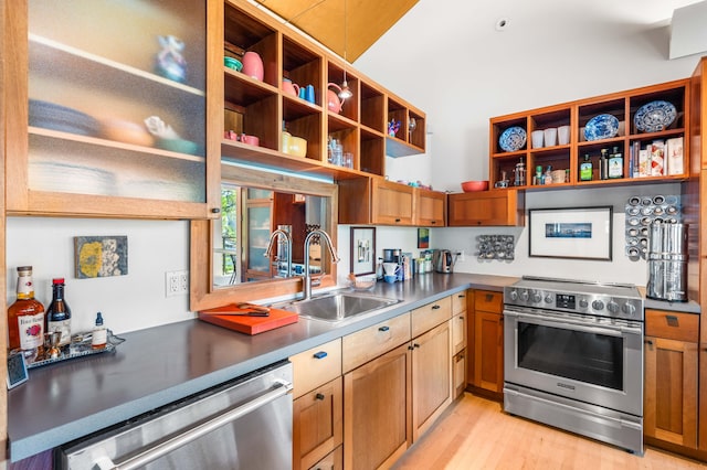 kitchen featuring sink, appliances with stainless steel finishes, and light hardwood / wood-style flooring