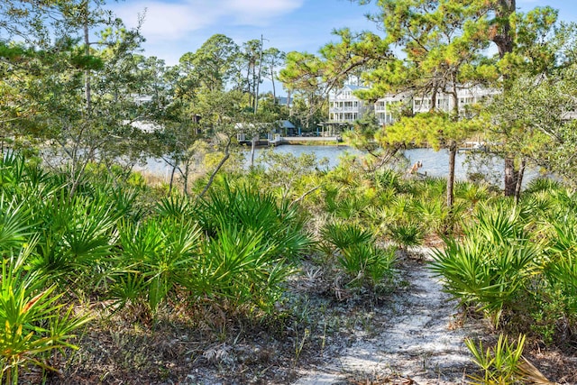 view of nature with a water view