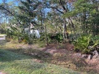 Listing photo 3 for D-18 Dover Ln, Freeport FL 32439