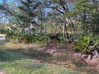 D-18 Dover Ln, Freeport FL, 32439 land for sale