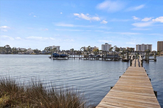 dock area with a water view