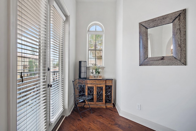 doorway featuring dark hardwood / wood-style floors