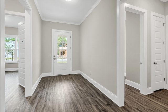 entryway featuring ornamental molding, dark hardwood / wood-style flooring, and plenty of natural light