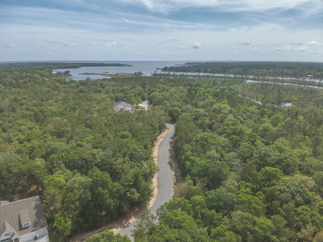 23 S J Hunters Way Lot 63, Freeport, FL 32439 - bird's eye view of a forest and a large body of water