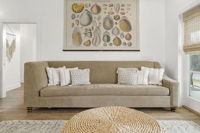 living room with wood-type flooring