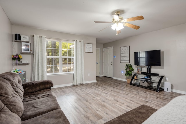 living room with ceiling fan and light hardwood / wood-style flooring