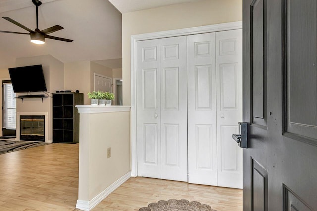 foyer entrance featuring ceiling fan and light hardwood / wood-style floors