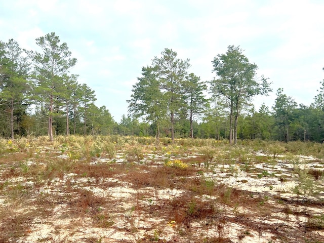 Listing photo 3 for 1AC Round Table Rd, Defuniak Springs FL 32433