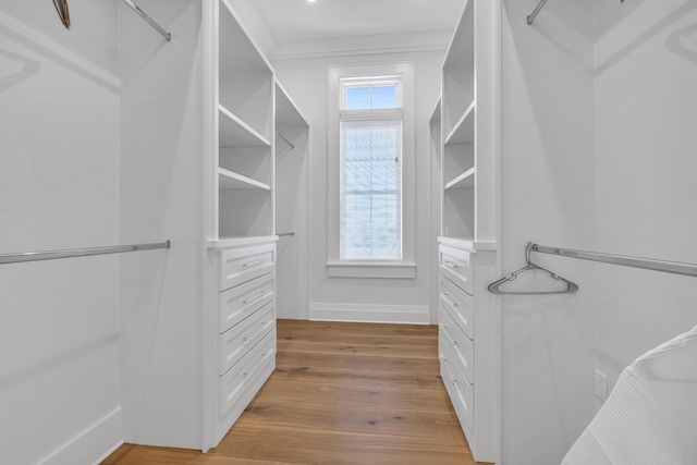 spacious closet with hardwood / wood-style floors