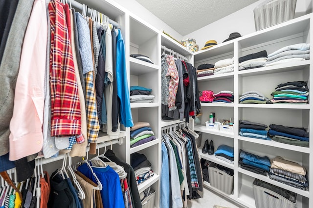 view of walk in closet