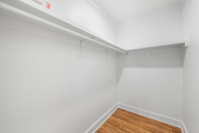 walk in closet with hardwood / wood-style flooring