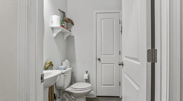 bathroom featuring toilet, a sink, and wood finished floors