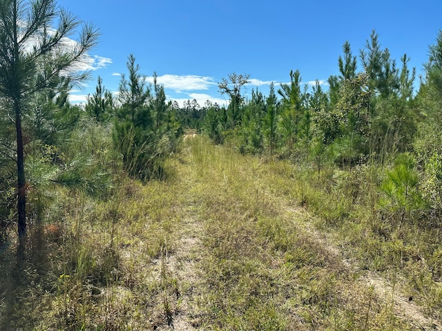 ParcelA Millside Road <><, Unit Laurel Hill FL, 32567 land for sale