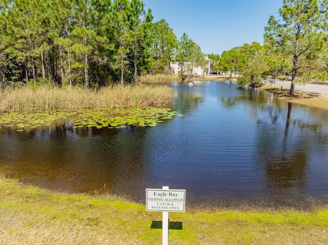 property view of water