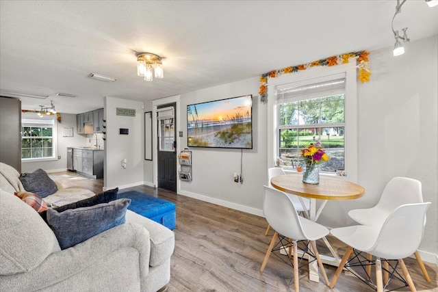 living room with a textured ceiling, a wealth of natural light, hardwood / wood-style flooring, and sink