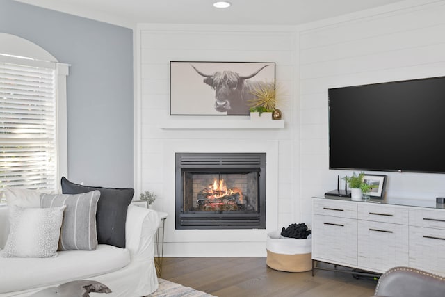 living room with wood-type flooring