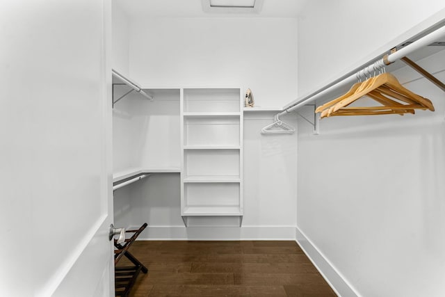 spacious closet with dark hardwood / wood-style floors