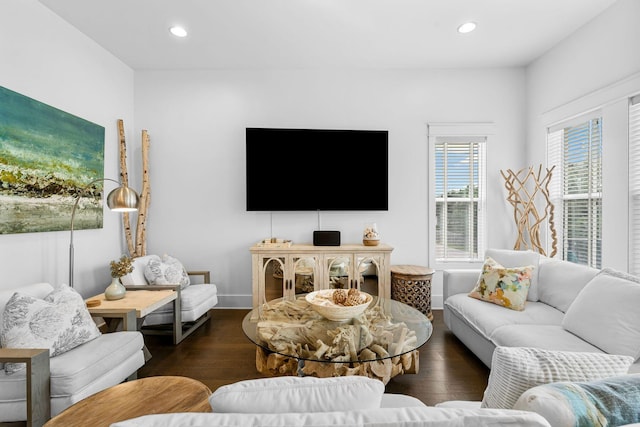 living room with dark wood-type flooring