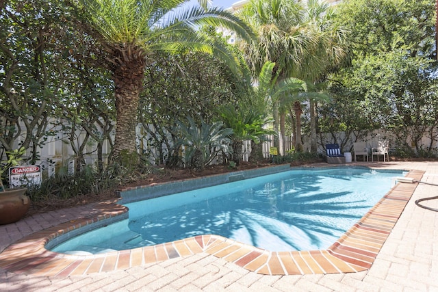 view of swimming pool with a patio area