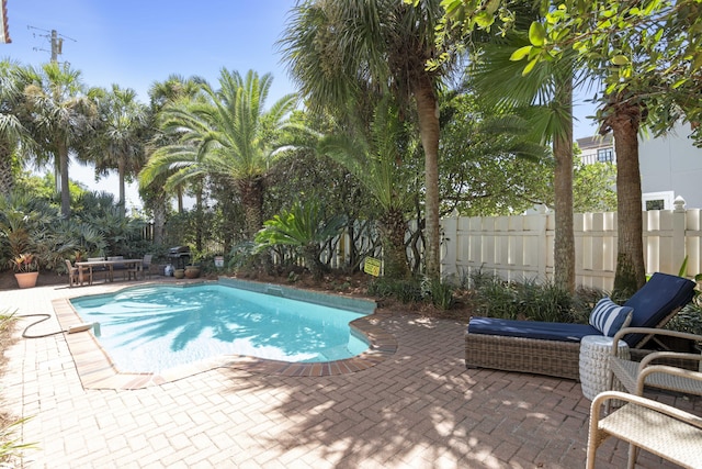 view of pool featuring a patio