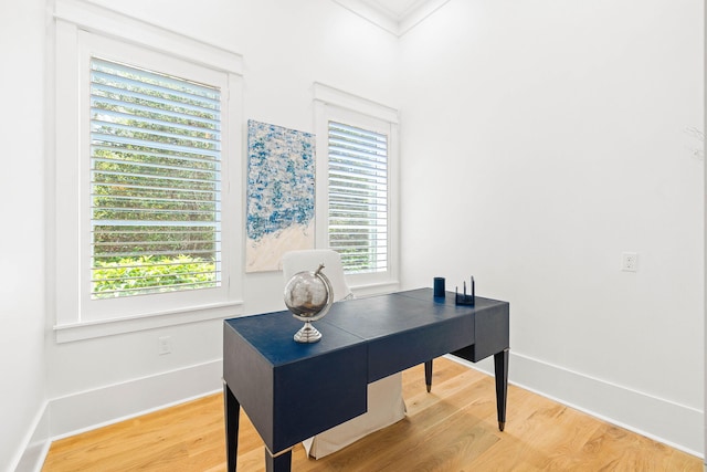 office featuring a wealth of natural light and wood-type flooring