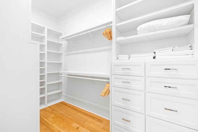 spacious closet featuring light hardwood / wood-style floors