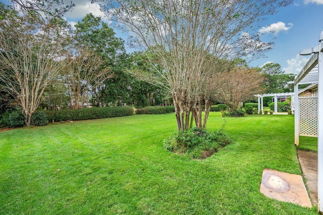 view of yard featuring a pergola