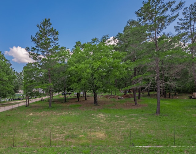 view of yard featuring a rural view