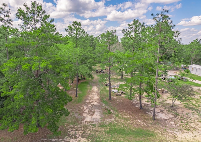 view of local wilderness