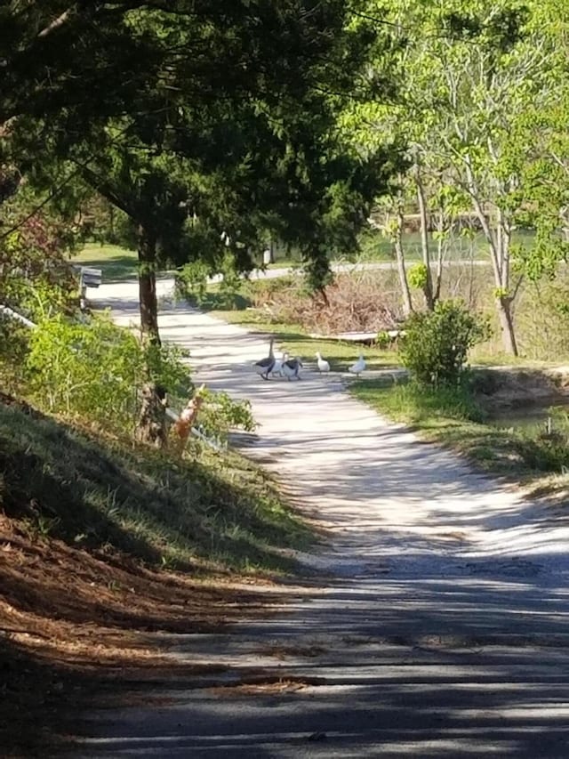 view of road