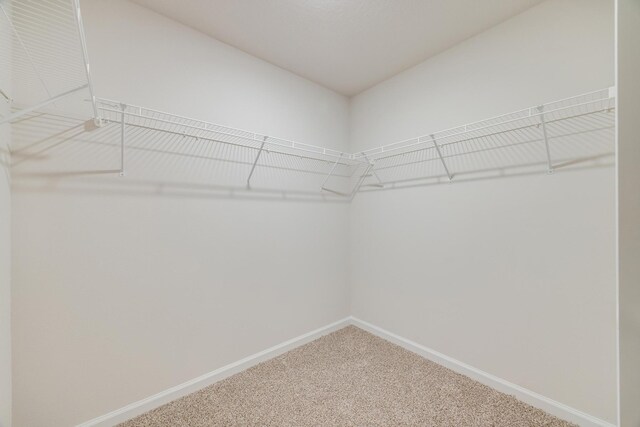 walk in closet featuring carpet