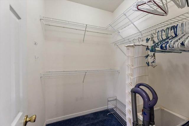 spacious closet with carpet flooring and sink