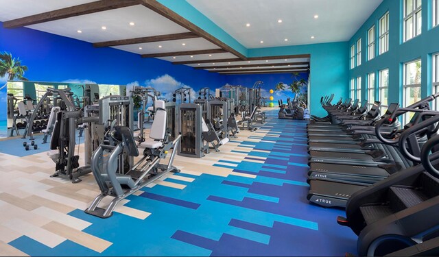 exercise room featuring a high ceiling